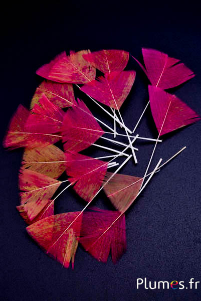Pétales en plumes - 6-8 x 3-4 cm - curry-fuchsia